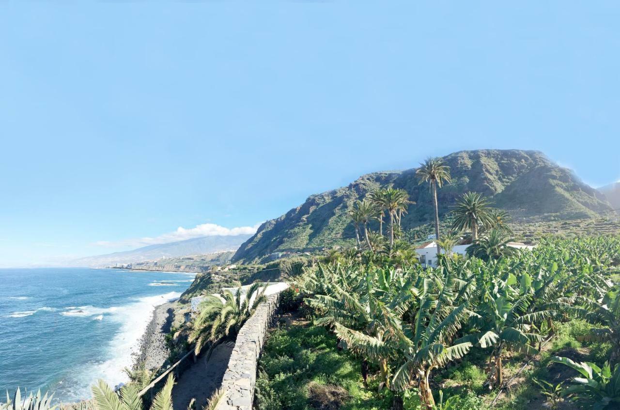 Hacienda El Cardon Βίλα San Juan de la Rambla Εξωτερικό φωτογραφία